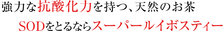 強力な抗酸化力を持つ、天然のお茶 SODをとるならスーパールイボスティ