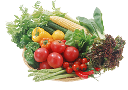 オーガニック100%の野菜