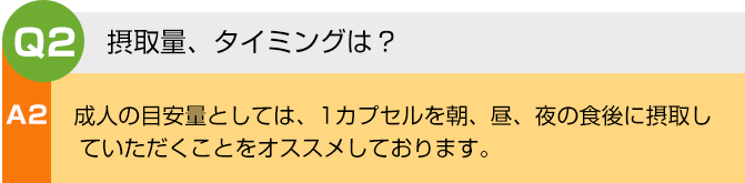 摂取量、タイミングは?