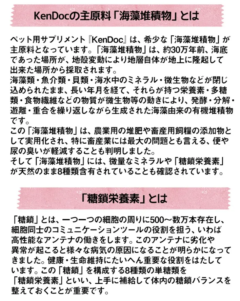 KenDocの主原料「海藻堆積物」とは